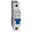 Schrack MCB C-curve 16A 1-pole